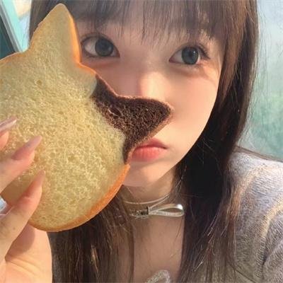 黑暗复仇者
